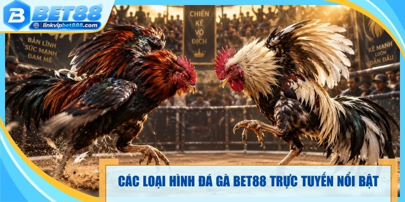 Các loại hình đá gà Bet88 trực tuyến nổi bật