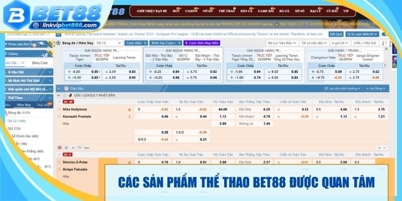 Các sản phẩm thể thao Bet88 nổi bật được quan tâm 