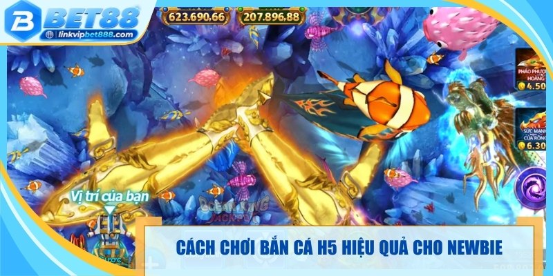 Cách chơi bắn cá H5 hiệu quả cho newbie