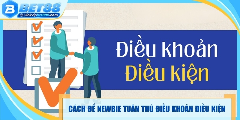 Cách để newbie tuân thủ điều khoản điều kiện 