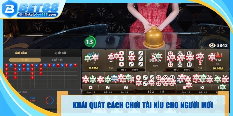 Khái quát cách chơi tài xỉu dành cho người mới bắt đầu