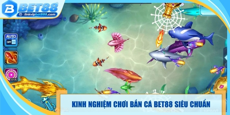 Kinh nghiệm chơi bắn cá Bet88 siêu chuẩn