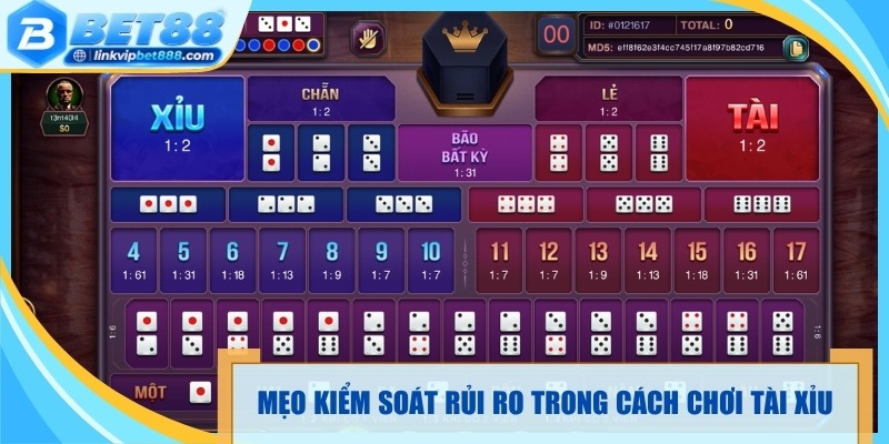Mẹo kiểm soát rủi ro trong cách chơi tài xỉu