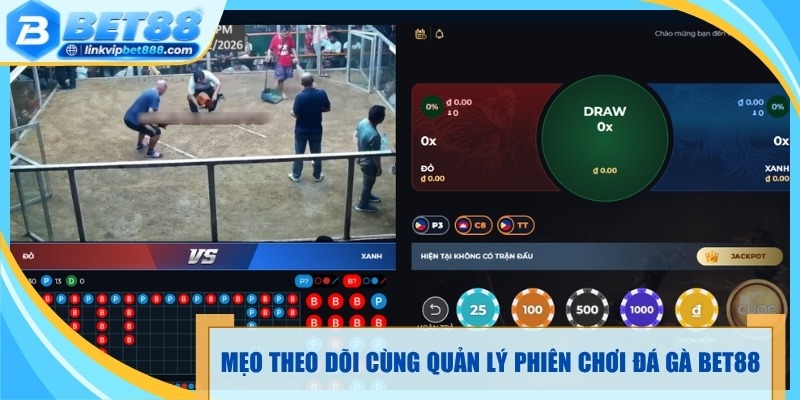 Mẹo theo dõi cùng quản lý phiên chơi đá gà Bet88 hiệu quả 