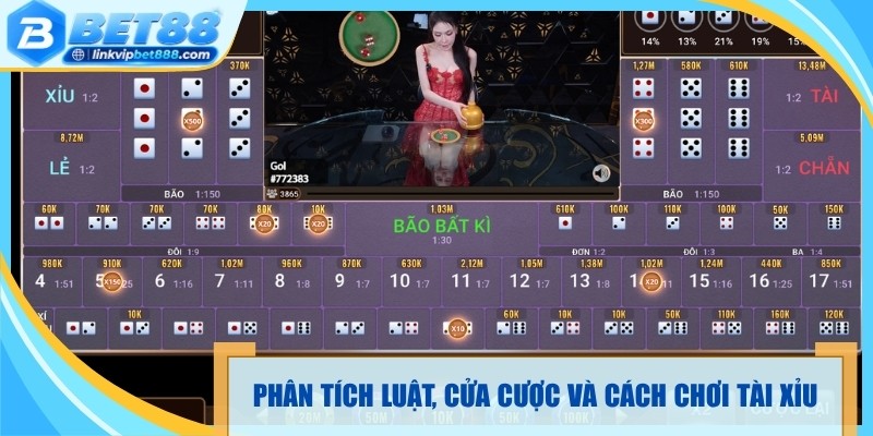 Phân tích luật, cửa cược và cách chơi tài xỉu