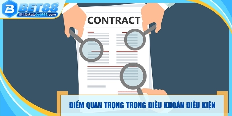 Tổng hợp điểm quan trọng trong điều khoản điều kiện